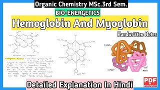 Hemoglobin And Myoglobin | Basic Concept | Structure And Functions | MSc.3rd Sem.Notes | #mscnotes