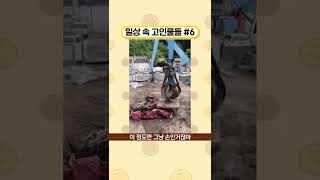 일상 속 고인물들 #6