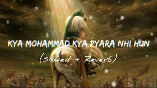 Kya Mohammad Kya Pyara Nahi Hun (Slowed + Reverb) Ali Shanawar l LOFI with Fahad