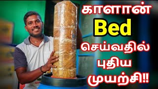 🍄வீட்டில் இருந்தபடியே நீங்களும் காளான் Bed செய்யலாம். Mushroom Bed Making ||