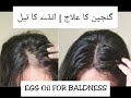 EGG OIL FOR NEW HAIR ON BALD PATCHES | GANJ PAN KA ELAAJ | گنجپن کا علاج انڈے کا تیل