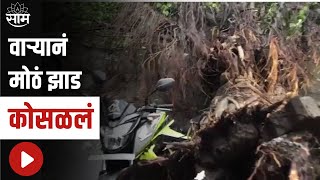 Pune Tree Collapse : वाऱ्यामुळे मोठं झाड कोसळलं;घटना सीसीटीव्ही कैद !