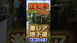 【富士市】認知率数%の激レア地下道で起こるという奇跡の瞬間とは？#富士市#岳南地域 #地下道#東海道線