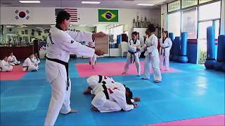 Lima TaeKwonDo Brazilian Jiu Jitsu in Lomita San Pedro Carson Harbor City Wilmington Los Angeles CA