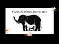 🔵 optical illusions telugu riddles brain teasers brain power virinchi facts in telugu