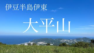 伊東大平山