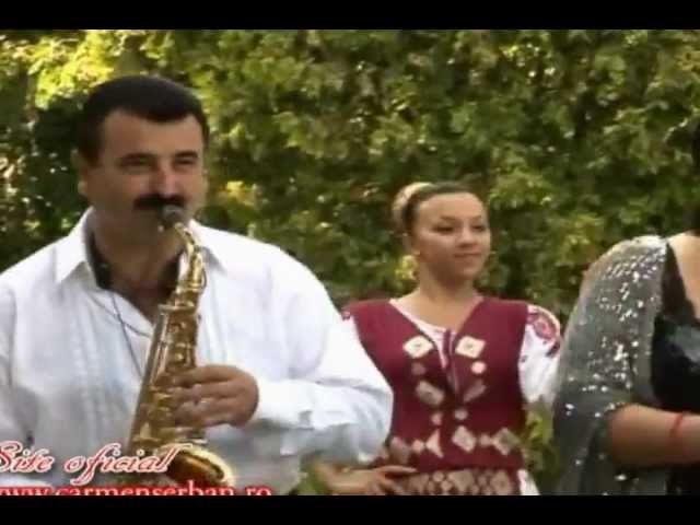 Download Carmen Serban Am Si Eu Pe Cineva