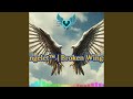 Broken Wings