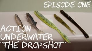 DROPSHOT FOR BIG BASS Action Underwater Episode 1