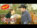 Bonanza - A Woman in the House || Free Western Series || Cowboys || Full Length || English