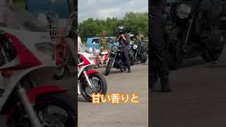 YAMAHA TZR２５０　一本橋