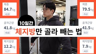 10일 만에 5키로 빠진 다이어트 식단