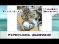 【ボケて】面白すぎる！2chボケてまとめがヤバイ【殿堂入り】【ずんだもん解説】 0554