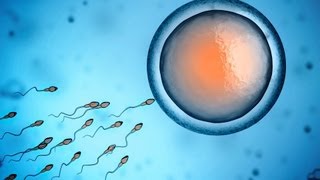 What a Sperm Analysis Reveals | Infertility