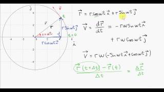 Uniform Circular Motion - Calculus Derivation of Velocity and Centripetal Acceleration Vectors