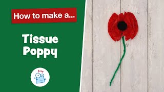 How to make Tissue Paper Poppies | Baker Ross