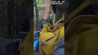 Florida Deputies Rescue 72-year-old Man "Clinging to Life" After 4 Days