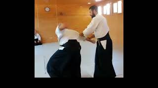 Aikido, Luis Mochón, 6°dan Aikikai. Aikido Musubi. Seminario de Murcia 2023.