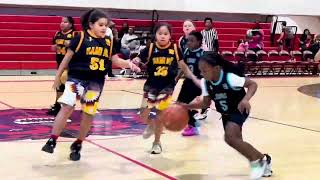 01/11/2025 - Game 2 - 3/4 Nami Nu vs Lion Athletics Grade Girls Tourney.