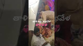 💞💞 తాళి కట్టు శుభవేళ 💞💞 #yt shorts #trending #viral