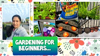 How to start gardening from scratch?easy growing plants|ஆரம்பநிலைக்கு எளிதான தோட்டக்கலை