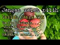 varian tin warna merah , buah besar dan manis || jenis tin yang rajin berbuah dan buah besar