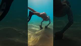 Youtube Doesnt Want Me Here Shorts