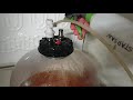 How to take a gravity sample from a pressure fermenter