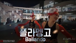 [ 줌바 MV ] 플라멩고🏅Bailando 크리스마스 연말 영상촬영 김미주줌바피트니스 대표강사 줌바댄스 인기줌바동영상 줌바동영상