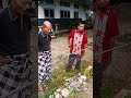 berkebun sayuran di pekarangan yang berbatu #kehidupantani #shorts