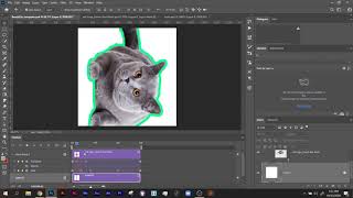 Photoshop Copy + Paste Keyframes