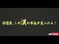 【4 28勝沼ステッカー配布】この漢ケモスター【クロスミッション】