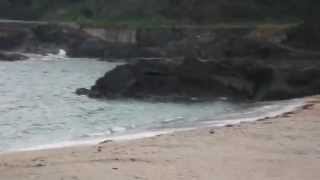 一湊海水浴場　屋久島の海岸　Coast of Yakushima