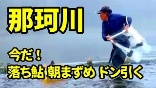 【鮎 投網】シーズン大詰め！来るか大鮎？少ないチャンスで鮎を追うズブ濡れ漁師の１日  River Healing Channel （リバヒ）