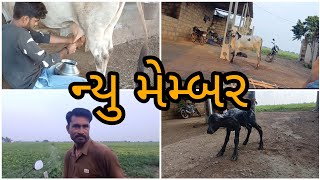 આજે આપણી આપણા ફાર્મ પર એક મેમ્બર વધ્યું. New membar in our farm