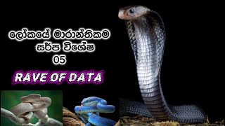 ලෝකයේ මාරාන්තිකම සර්ප විශේෂ 05 / Top 05 Deadliest Snakes in the World / Rave of Data දැනුමට යමක්