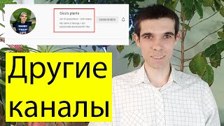 Какие другие каналы У меня есть