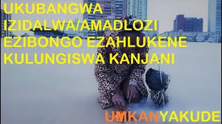 Ukubangwa Izidalwa/Amadlozi Ebongo Ezehlukene Kulungiswa Kanjani.[0780046059]