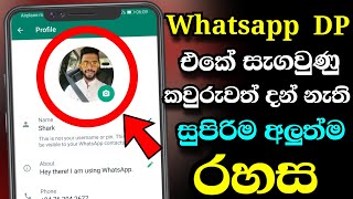 How to Hide WhatsApp DP for particular person without Blocking | Whatsapp Secrets Shark boy