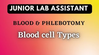 Blood & Phlebotomy / Blood cell types / Junior Lab Assistant Class 19