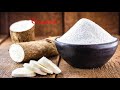 cassava nutrient facts and health benefits