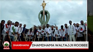 Dhamdhama waltajjii Roobee ||Roobee Walashiyyoo||