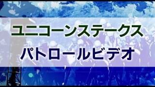 ユニコーンステークス　2020  パトロールビデオ　(カフェファラオ)