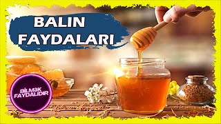 Bal və onun faydaları