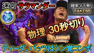 【FFRK】【迷宮】サラマンダー 物理有効 30秒切り 顔出しプレイ動画