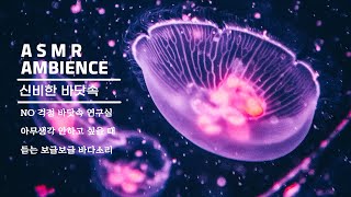 asmr ambience 신비한 바닷속 no 걱정 바닷속 연구실 힐링 asmr 🌊바다소리, 물소리,아무생각 안하고 있지만 더 아무생각 안하고 싶을 때 듣는 ASMR