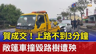 賀成交！上路不到3分鐘敞篷車撞毀路樹遭殃