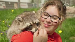 Gut Aiderbichl - Tiere sind unser Leben