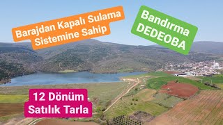 Satıldı! Sulama Sistemli Dedeoba'da SATILIK 12 Dönüm Tarla! 410.000₺