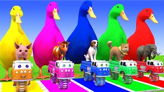 Long Slide Game With Cow Elephant Gorilla Hippopotamus Tiger - 3d Animal Game - Funny 3d Animals